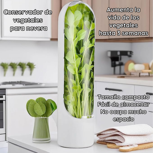 Conservador de hierbas hasta 3 semanas