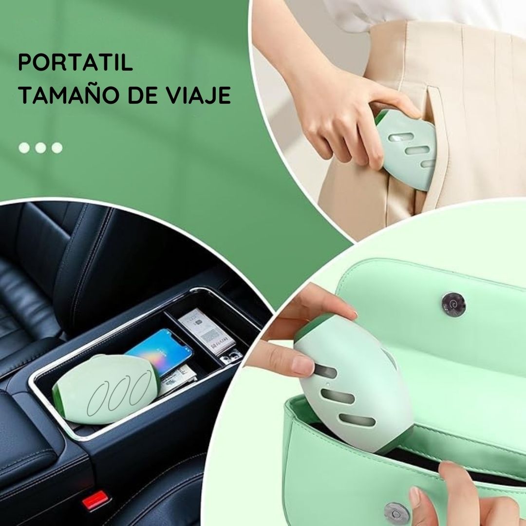 Removedor de motas lavable